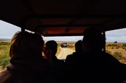 Guide « hop-on » dans votre voiture, Parc national d'Addo Elephant, Afrique du Sud