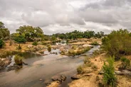 Points d'eau et affûts de Skukuza, Parc Kruger, Afrique du Sud