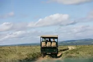 Safari guidé en véhicule ouvert, Parc Kruger, Afrique du Sud