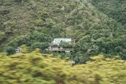 Réserve de Featherbed, Knysna, Route des Jardins, Afrique du Sud