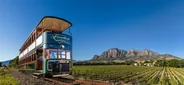 Tram viticole de Franschhoek, Stellenbosch et les Winelands, Afrique du Sud