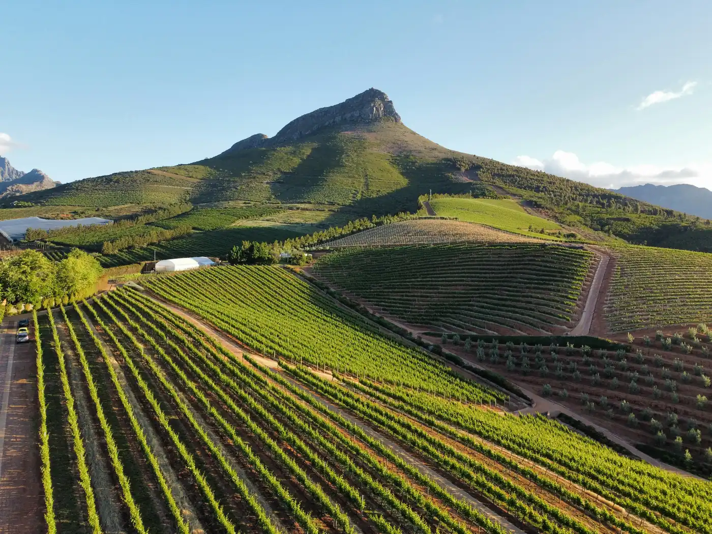 Stellenbosch et les Winelands, Afrique du Sud