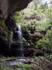 Piste du Grand Canyon, Blackheath, Blue Mountains, Australie