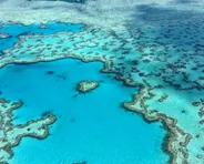 Journée sur la Grande Barrière, récif extérieur, Cairns et la Grande Barrière, Australie