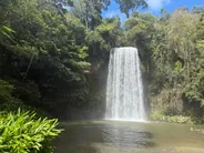 Plateau des Atherton et ses cascades, Cairns et la Grande Barrière, Australie
