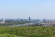 Kahlenberg et les vignobles viennois, Vienne, Autriche
