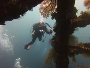 Sortie plongée deux blocs, Gili Air, Bali