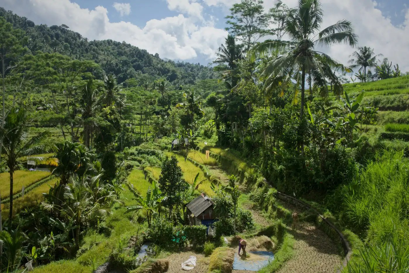 Sidemen, Bali