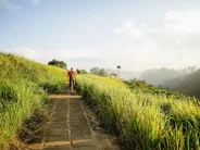 Campuhan Ridge Walk au lever du jour, Ubud, Bali