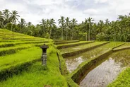 Rivière Ayung et villages de Penestanan, Ubud, Bali