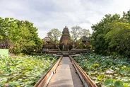Temple de Saraswati et son bassin de lotus, Ubud, Bali