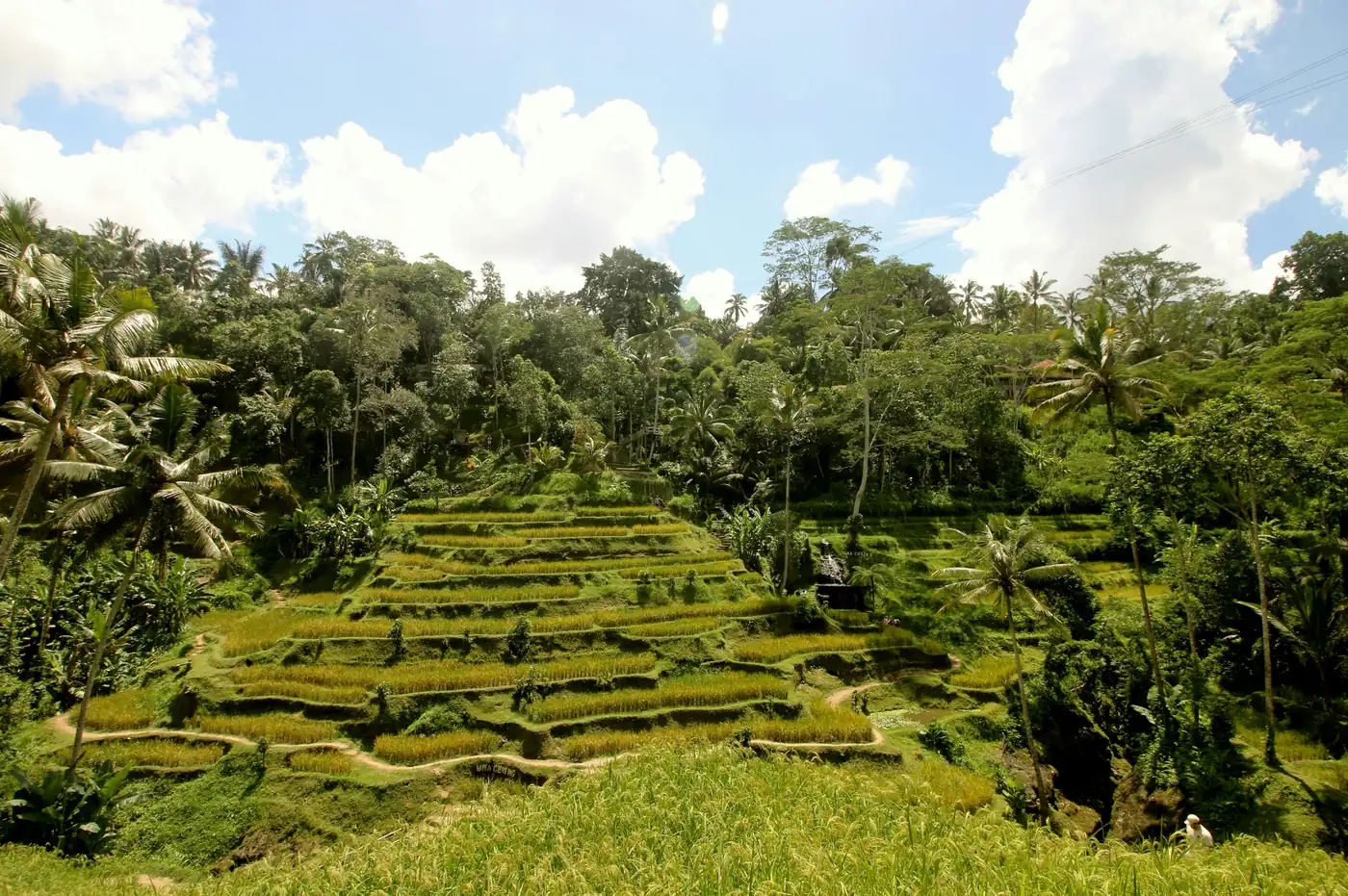 Ubud, Bali