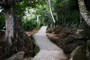 Sentiers de la forêt atlantique, Ilha Grande, Brésil