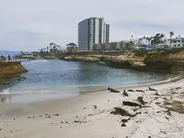 La Jolla Cove et ses phoques, San Diego, Californie