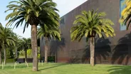 De Young Museum et sa tour, San Francisco, Californie