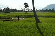 Rizières et villages de la plaine, Battambang, Cambodge