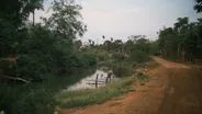 Rizières à vélo autour de la ville, Siem Reap et Angkor, Cambodge
