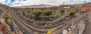 Jardín de Cactus, Arrecife et le nord de Lanzarote, Canaries