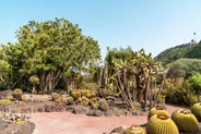 Jardin botanique de Puerto de la Cruz, Puerto de la Cruz, La Orotava et le Teide, Canaries