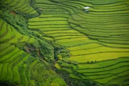 Rizières en terrasses de Longji, Guilin et Yangshuo, Chine