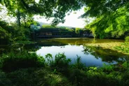 Musée national du thé, Hangzhou, Chine