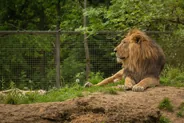Bosquet du Lion, Suzhou, Chine