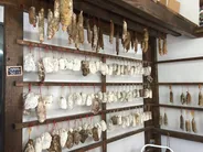Charcuterie corse et vins du Cap, Bastia, Corse