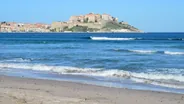 Plage de Calvi et la pinède, Calvi et la Balagne, Corse