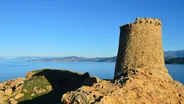 Capu Rossu et la tour de Turghiu, Porto, Piana et Scandola, Corse