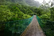 Ponts suspendus de Mistico, La Fortuna et l'Arenal, Costa Rica