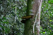 Journée guidée au secteur San Pedrillo, Corcovado et Drake, Costa Rica