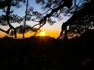 Réserve de forêt nuageuse de Monteverde, Monteverde, Costa Rica
