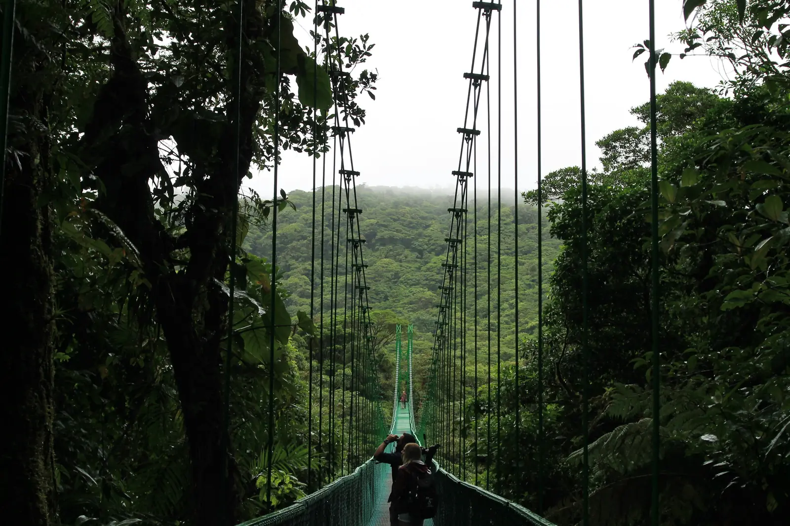 Monteverde, Costa Rica
