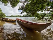 Canaux en canoë au lever du jour, Tortuguero, Costa Rica