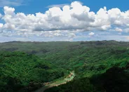 Parc national de Tortuguero, Tortuguero, Costa Rica