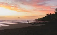 Ponte des tortues vertes, de nuit, Tortuguero, Costa Rica