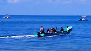 Observation des baleines à bosse, Uvita et Marino Ballena, Costa Rica