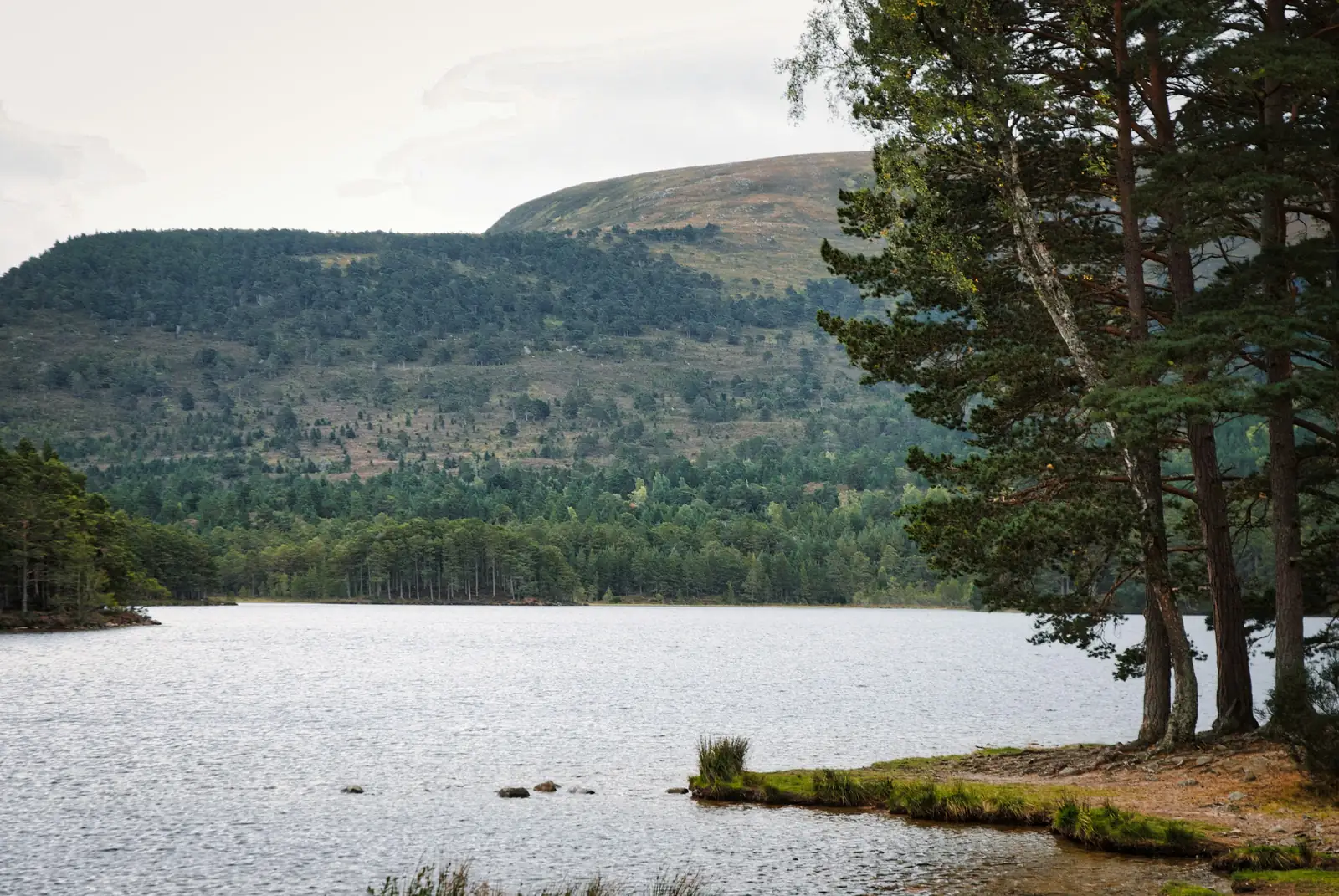 Les Cairngorms, Écosse