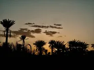 Sources chaudes et palmeraie de Bahariya, Désert Blanc et Bahariya, Égypte
