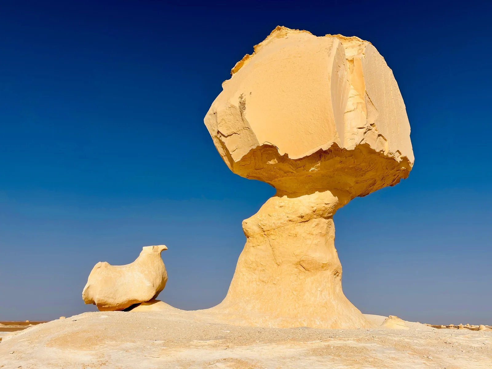 Désert Blanc et Bahariya, Égypte