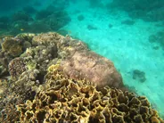 Récifs de Giftun en masque et tuba, Hurghada et la mer Rouge, Égypte