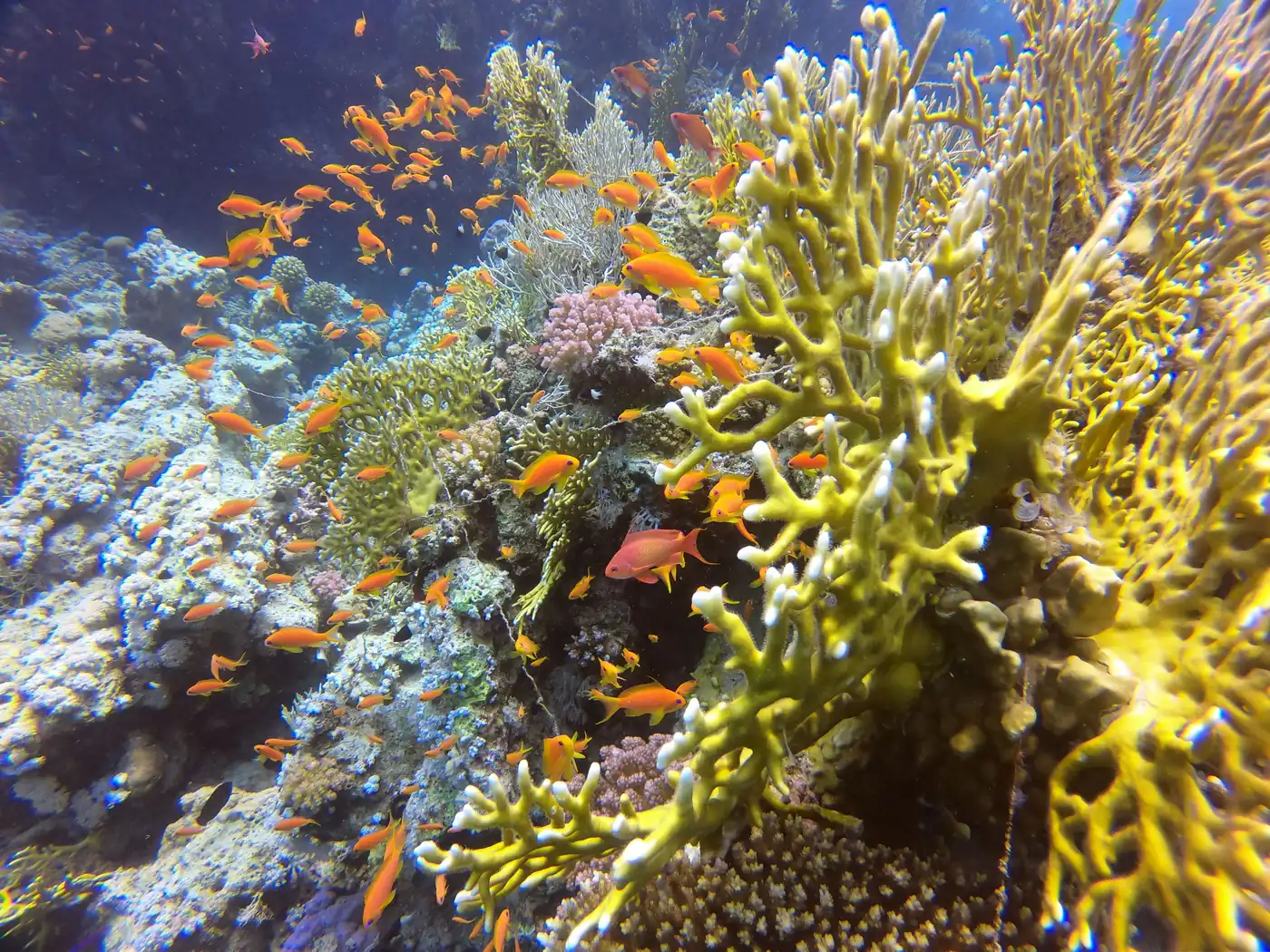 Hurghada et la mer Rouge, Égypte