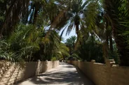 Oasis d'Al Aïn, Al Aïn, Émirats arabes unis
