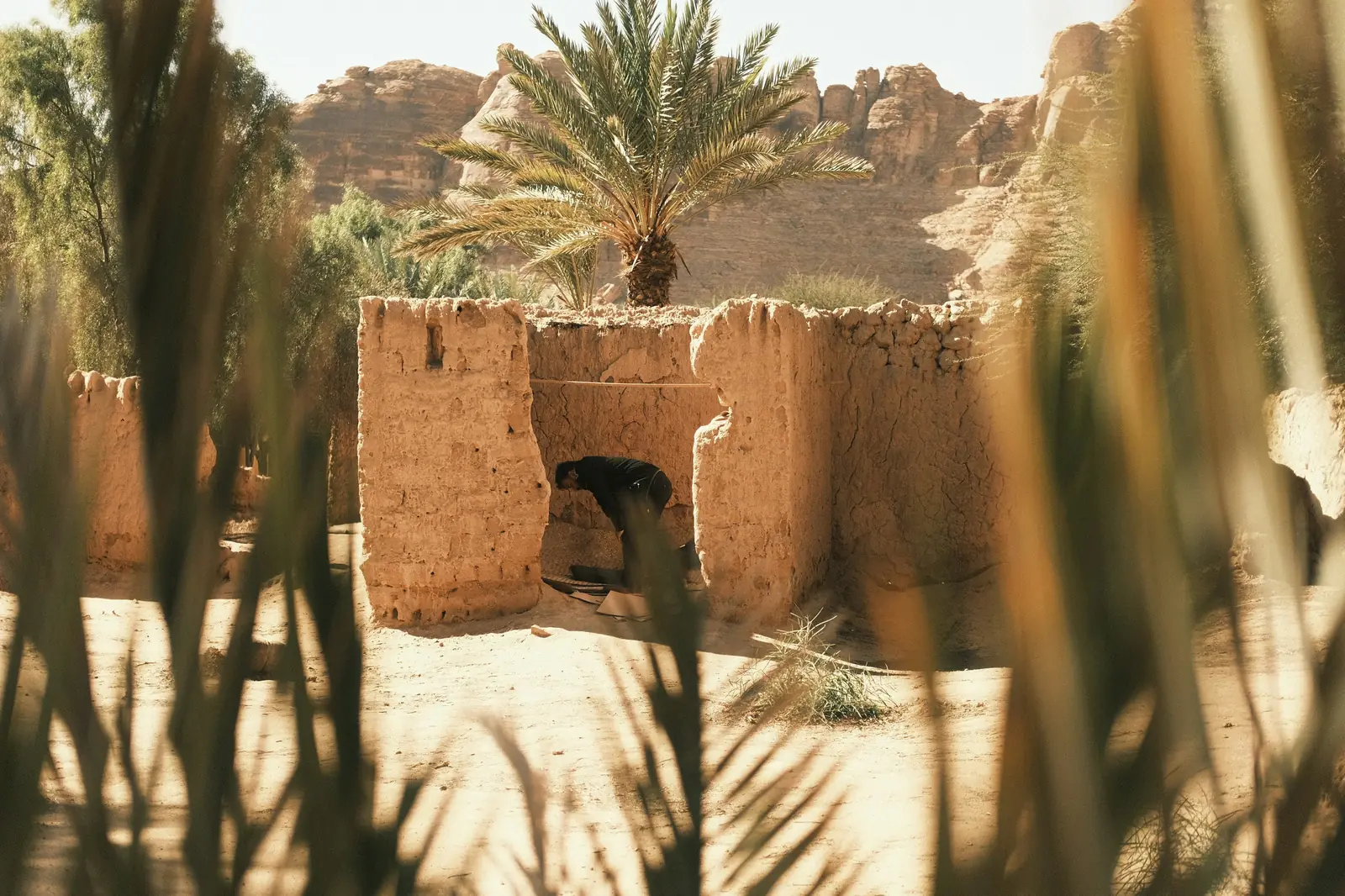 Al Aïn, Émirats arabes unis