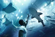Aquarium et zoo sous-marin du Dubai Mall, Dubaï, Émirats arabes unis