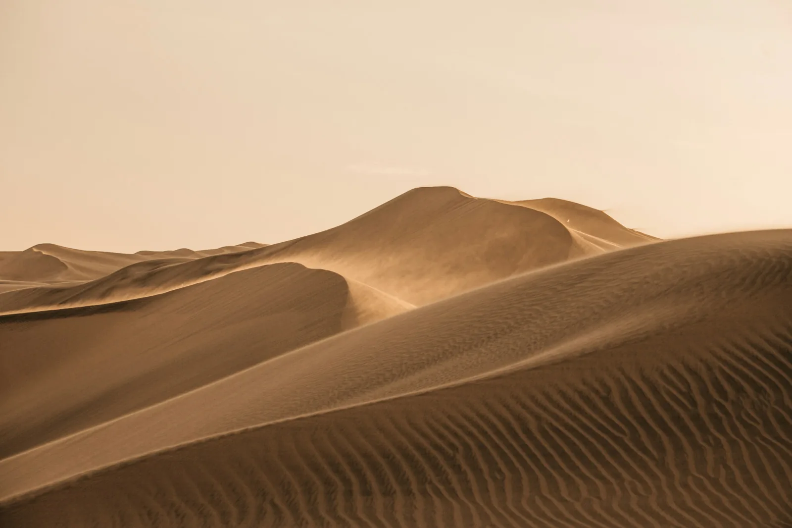 Liwa et le Rub al-Khali, Émirats arabes unis