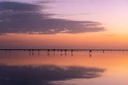Coucher de soleil à Flamingo, Everglades, Floride