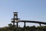 Tour d'observation de Shark Valley, Everglades, Floride