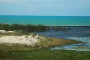 Theater of the Sea, Islamorada, Key Largo et Islamorada, Floride