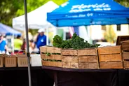 Marché fermier du dimanche, Orlando, Floride